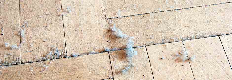 debris removal