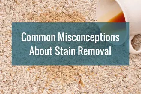 14 Common Misconceptions About Stain Removal