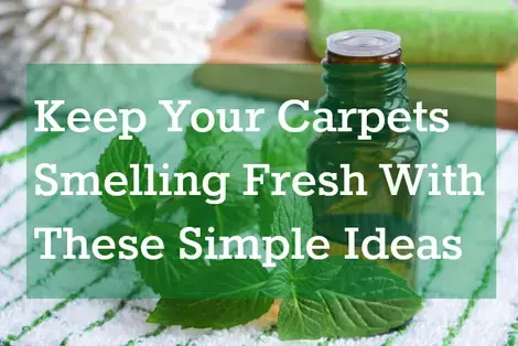 Keep Your Carpets Smelling Fresh with these simple Ideas 
