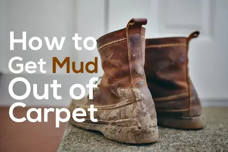 how to get mud out of carpet | COIT