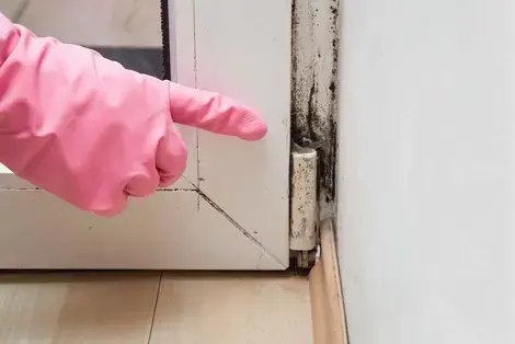 mold on corner of a cabinet