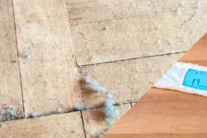 How Often Should You Dust Your Home?