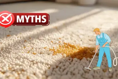 19 Carpet Cleaning Myths Debunked