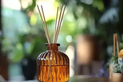 How to Deodorize a Room (and Your Whole House) 