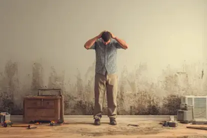 The Dangers of DIY Water Restoration