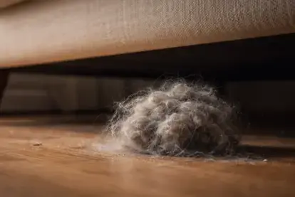 27 ways to reduce dust in your house 