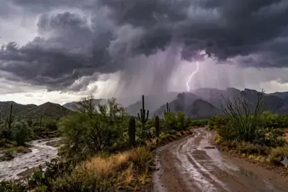Monsoon clean up tips for Arizona homeowners. Learn what to clean first, prevent mold, improve indoor air, and know when to call COIT.