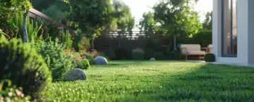 How to Clean the Backyard: A Step-by-Step Guide