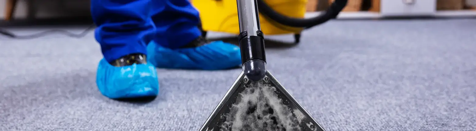 Professional deep carpet clean