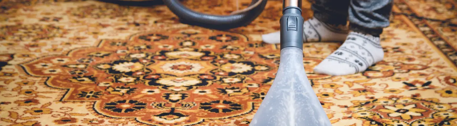 Area rug being cleaned by a professional grade rug cleaner