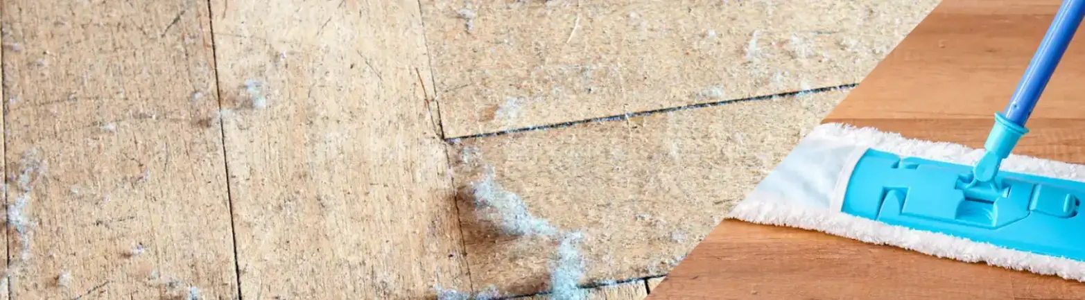 How Often Should You Dust Your Home?