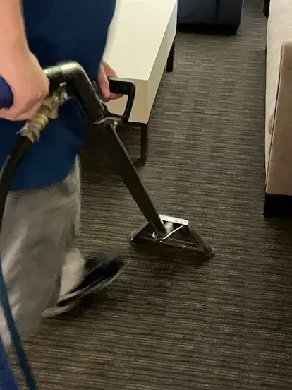 COIT Technician cleaning carpet