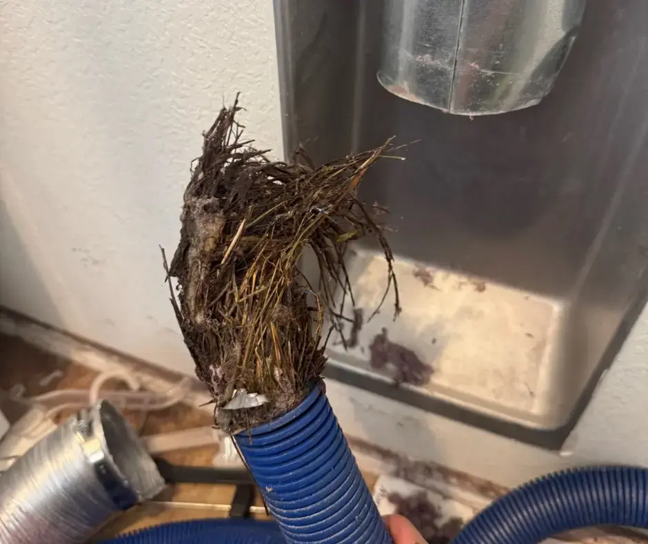 Debris stuck in a dryer vent